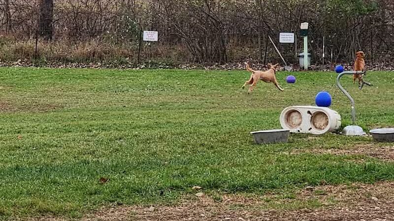 Dog Park at Arise Church - Pinckney, MI