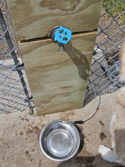 Jane Robbins Memorial Dog Park - Pine City, MN