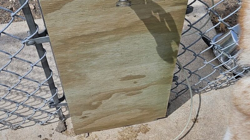 Jane Robbins Memorial Dog Park - Pine City, MN