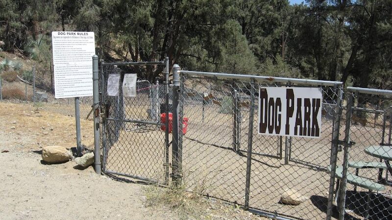 Pine Mountain Club Dog Park - Pine Mountain Club, CA