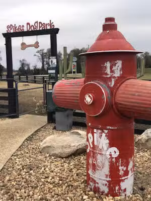 Dog Park - Pinehurst, GA