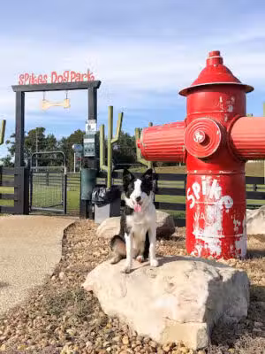 Spike's Dog Park - Pinehurst, GA