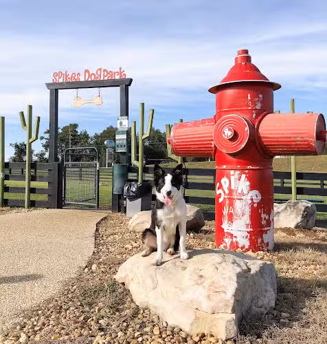 Spike's Dog Park - Pinehurst, GA