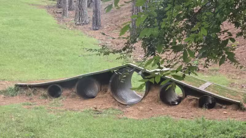 Canine Commons Dog Park - Pineville, NC