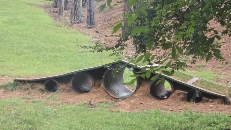 Canine Commons Dog Park - Pineville, NC