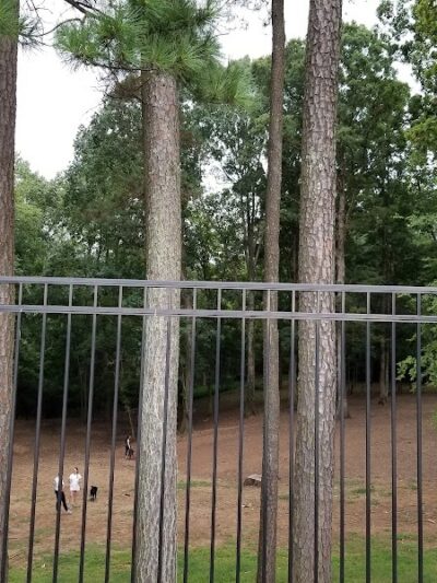 Canine Commons Dog Park - Pineville, NC
