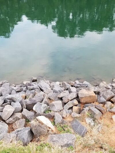 Canine Commons Dog Park - Pineville, NC