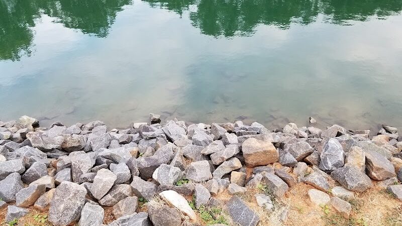 Canine Commons Dog Park - Pineville, NC