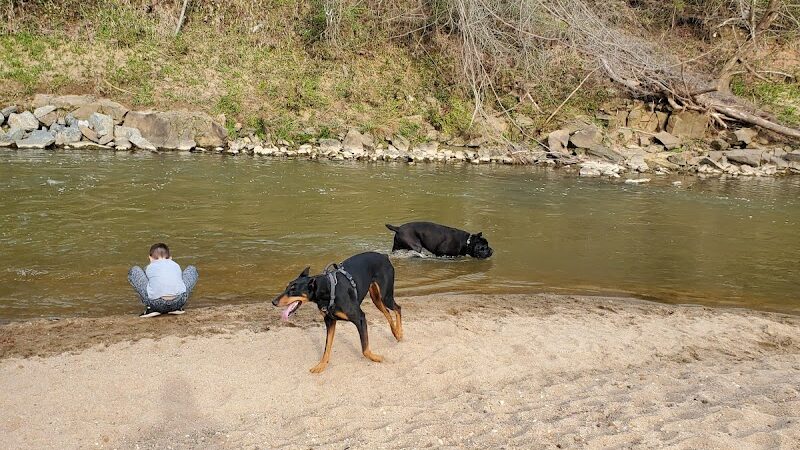 Canine Commons Dog Park - Pineville, NC