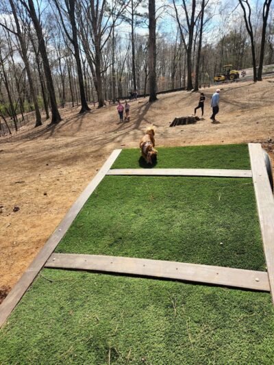 Canine Commons Dog Park - Pineville, NC