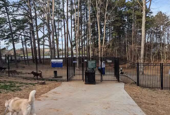 Canine Commons Dog Park - Pineville, NC