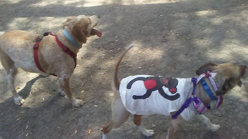 Pinole Valley Dog Park - Pinole, CA