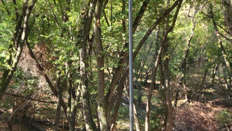 Pinole Valley Dog Park - Pinole, CA