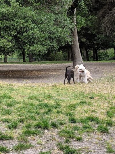 Pinole Valley Dog Park - Pinole, CA