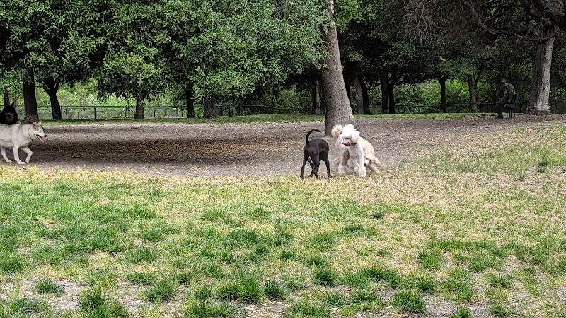 Pinole Valley Dog Park - Pinole, CA