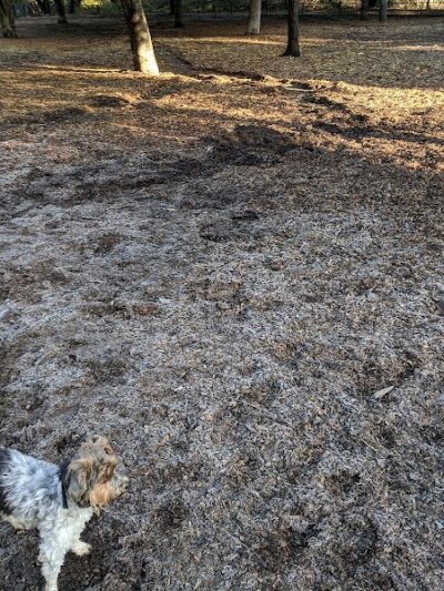 Pinole Valley Dog Park - Pinole, CA