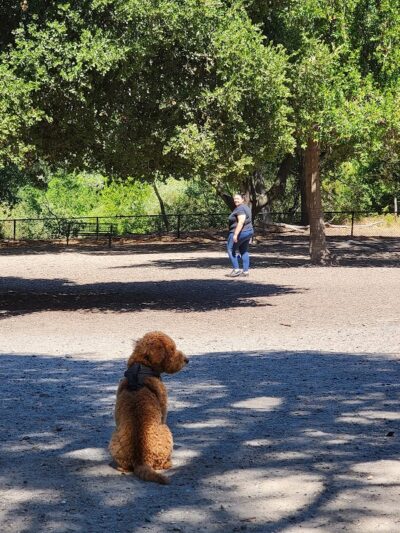 Pinole Valley Dog Park - Pinole, CA