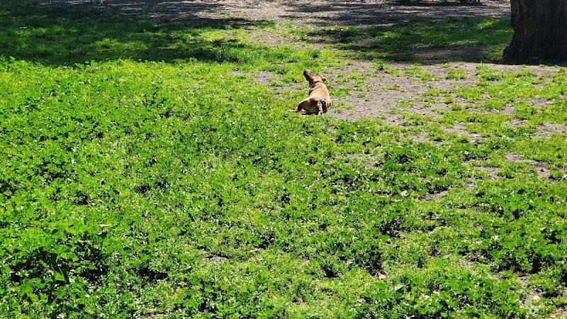 Pinole Valley Dog Park - Pinole, CA