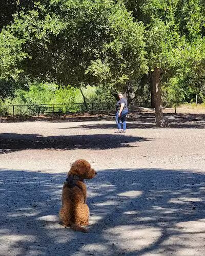 Pinole Valley Dog Park - Pinole, CA