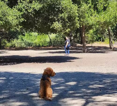Pinole Valley Dog Park - Pinole, CA
