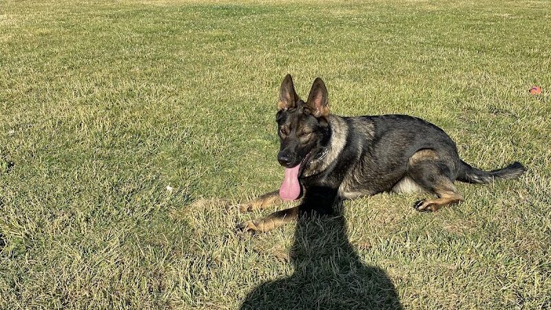 Highlands Ranch Dog Park - Pittsburg, CA