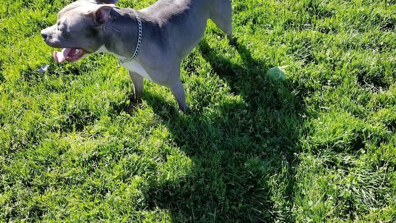 Highlands Ranch Dog Park - Pittsburg, CA