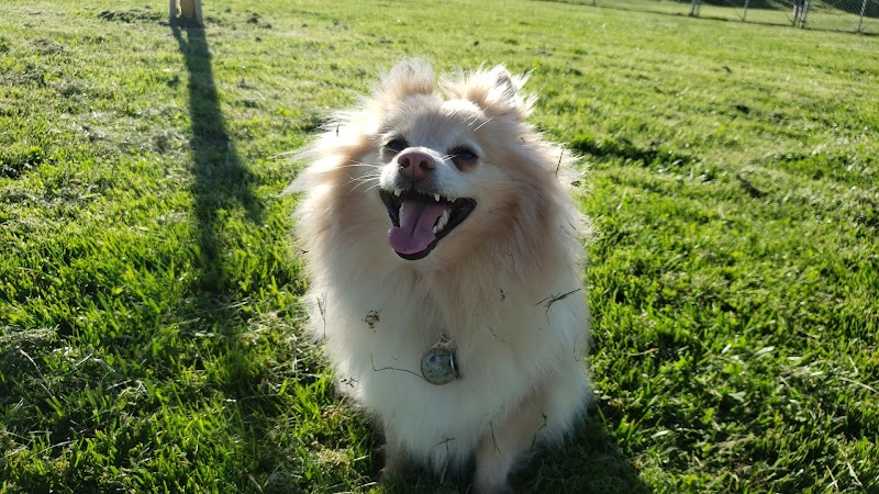 Highlands Ranch Dog Park - Pittsburg, CA