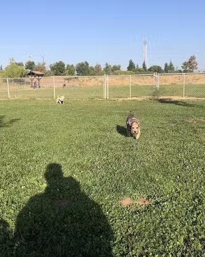 Highlands Ranch Dog Park - Pittsburg, CA