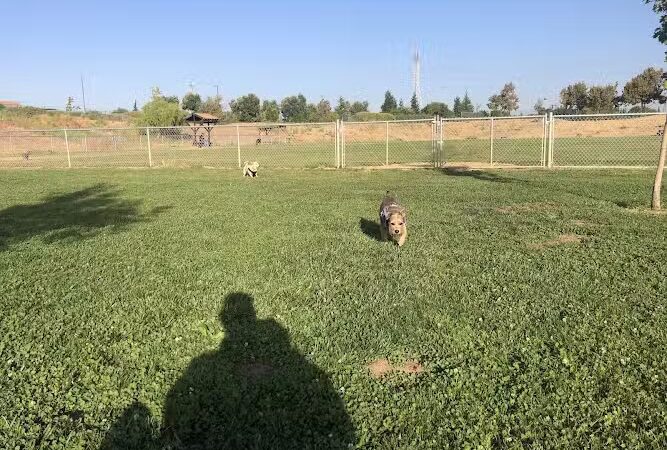 Highlands Ranch Dog Park - Pittsburg, CA
