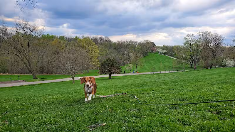 Frick Park Off-Leash Exercise Area - Pittsburgh, PA