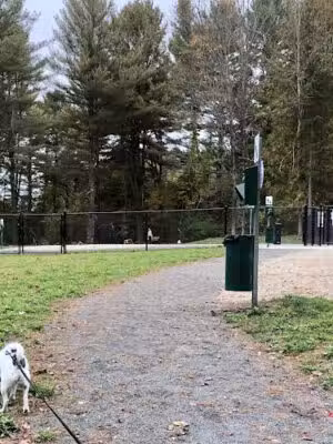 Pittsfield Dog Park - Pittsfield, MA