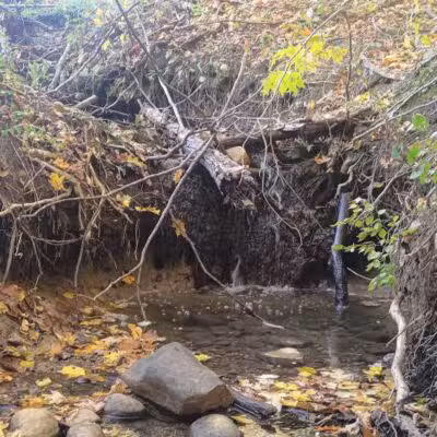 Lost Nations Area Trailhead - Pittsford,