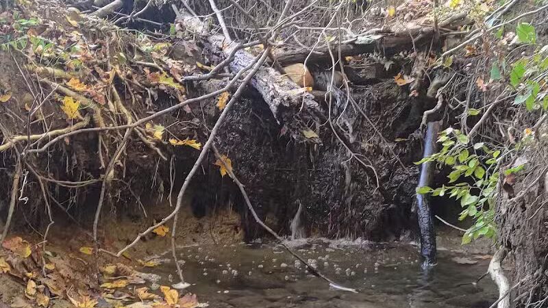 Lost Nations Area Trailhead - Pittsford,