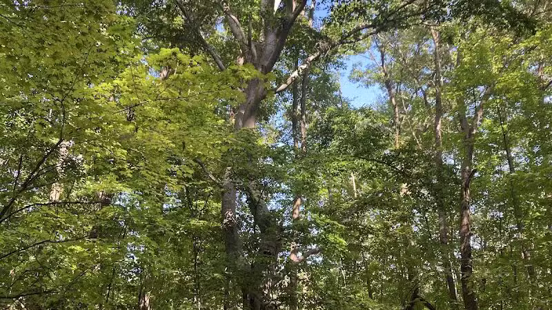 Lost Nations Area Trailhead - Pittsford,