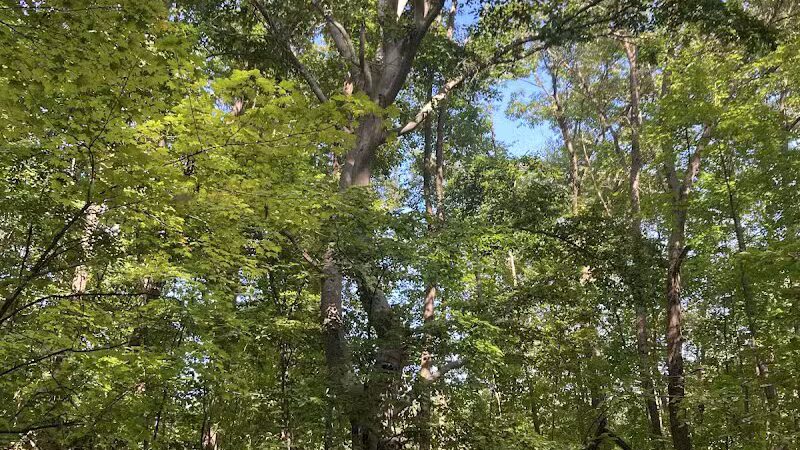 Lost Nations Area Trailhead - Pittsford,