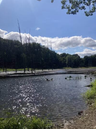 Lost Nations Area Trailhead - Pittsford,