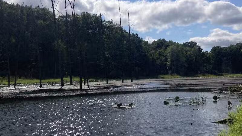 Lost Nations Area Trailhead - Pittsford,
