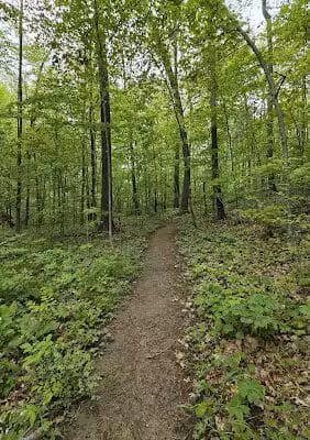 Lost Nations Area Trailhead - Pittsford,