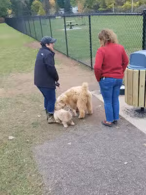 Pittsford Dog Park - Pittsford,