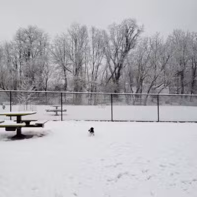 Pittsford Dog Park - Pittsford,