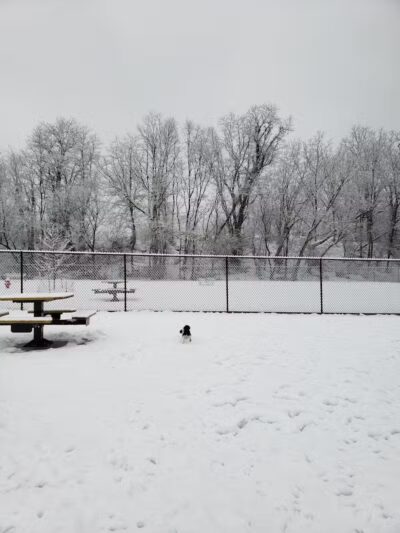 Pittsford Dog Park - Pittsford,