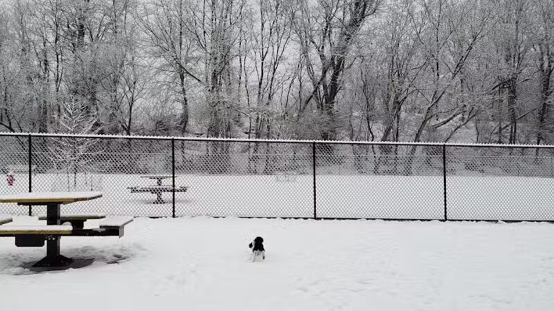 Pittsford Dog Park - Pittsford,