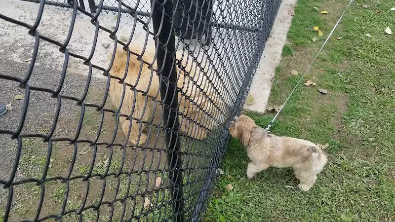 Pittsford Dog Park - Pittsford,