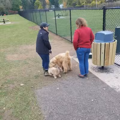 Pittsford Dog Park - Pittsford,