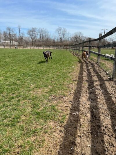 Clow Stephens Park - Plainfield, IL