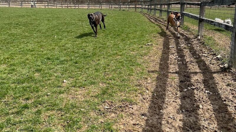 Clow Stephens Park - Plainfield, IL
