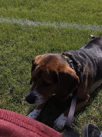 Clow Stephens Park - Plainfield, IL