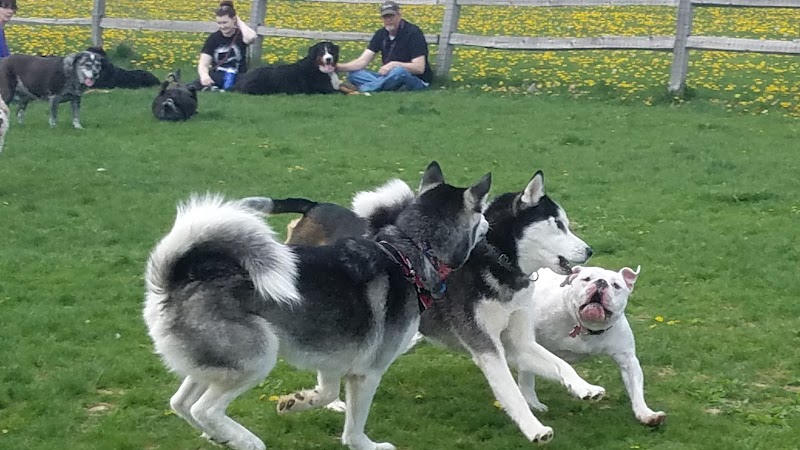 Clow Stephens Park - Plainfield, IL