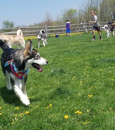 Clow Stephens Park - Plainfield, IL