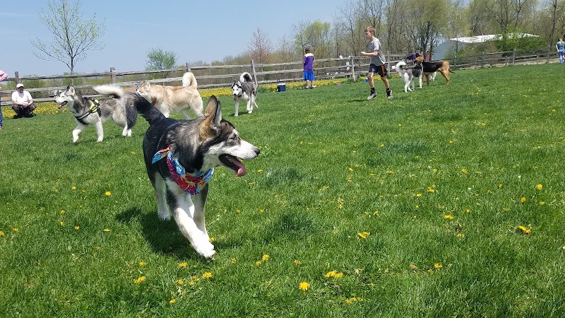 Clow Stephens Park - Plainfield, IL